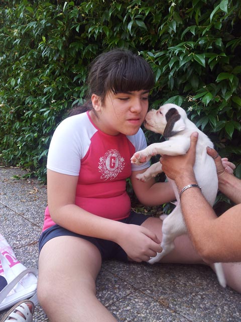 A scuola dal boxer