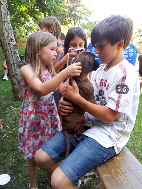 A scuola dal boxer