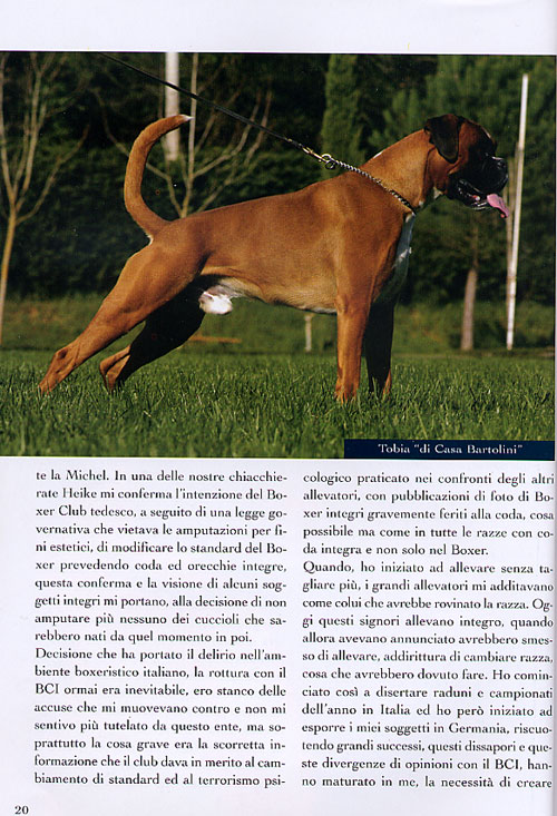 Anubi, Novembre 2005