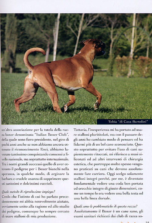 Anubi, Novembre 2005