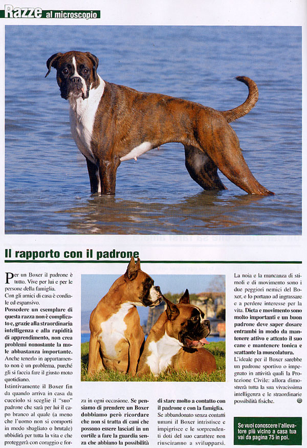 Il mio cane, February 2007