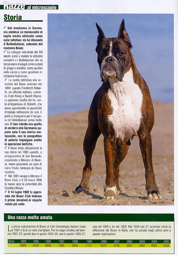 Il mio cane, February 2007
