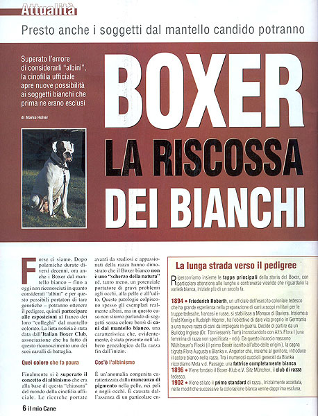 Il mio Cane