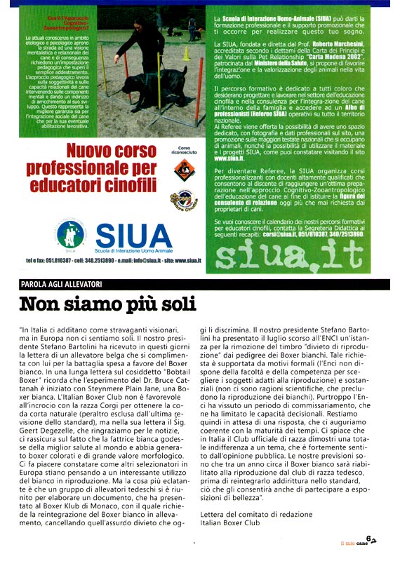Il mio Cane