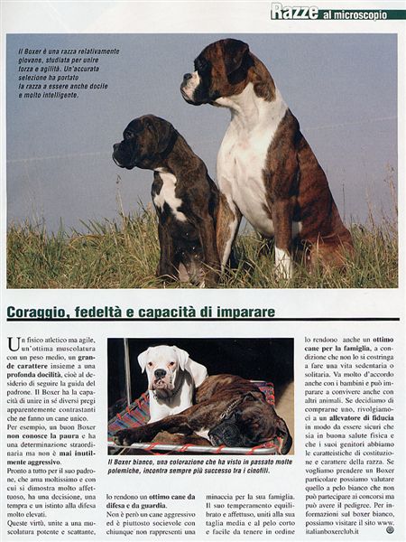 Il mio cane, August 2005