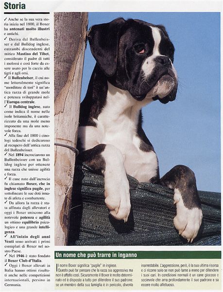 Il mio cane, August 2005