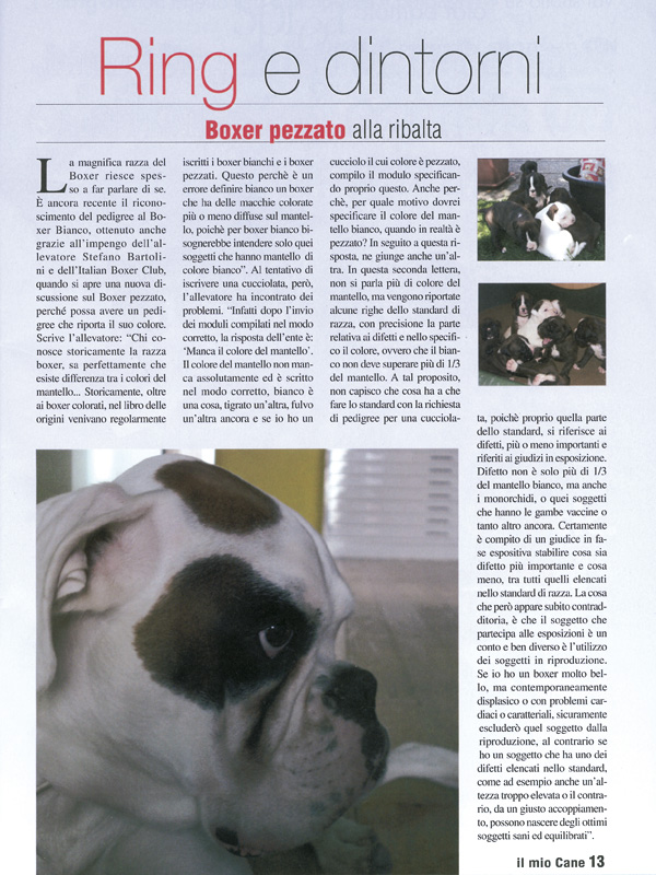 Il mio Cane