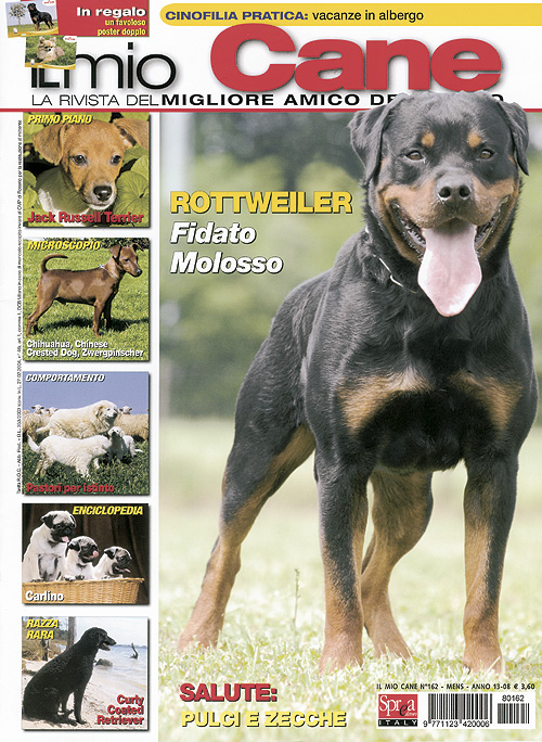 Il mio cane, August 2008