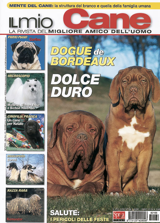 Il mio cane, December 2008