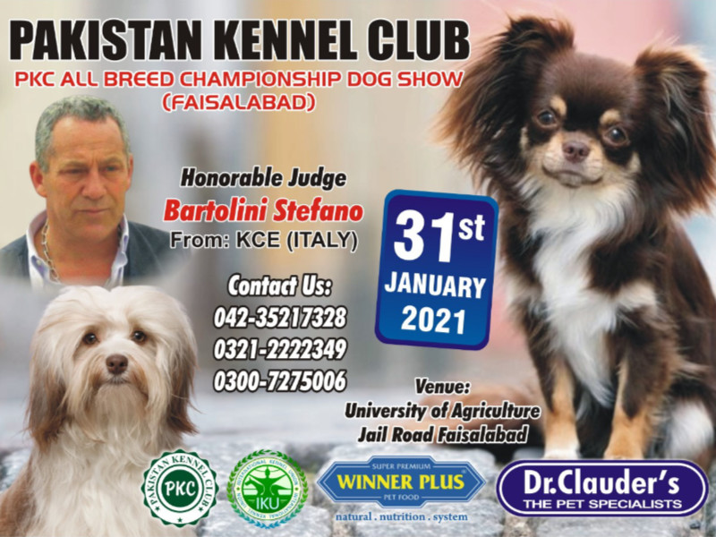 Stefano Bartolini als Richter in Pakistan