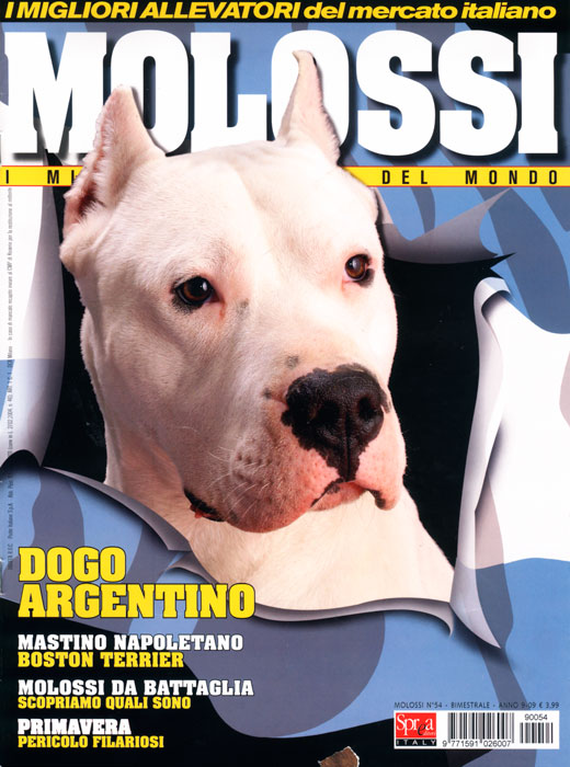Molossi, Januar-Februar 2009