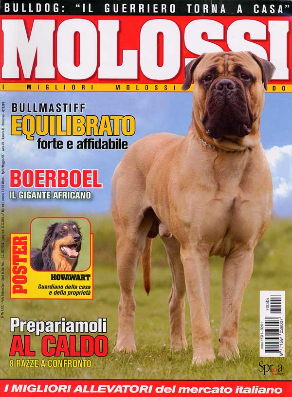 Molossi, April-May 2007
