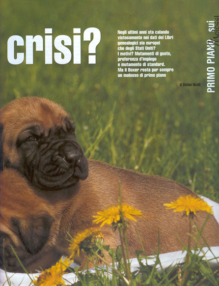 Molossi, Juni-Juli 2004