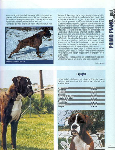 Molossi, Juni-Juli 2004