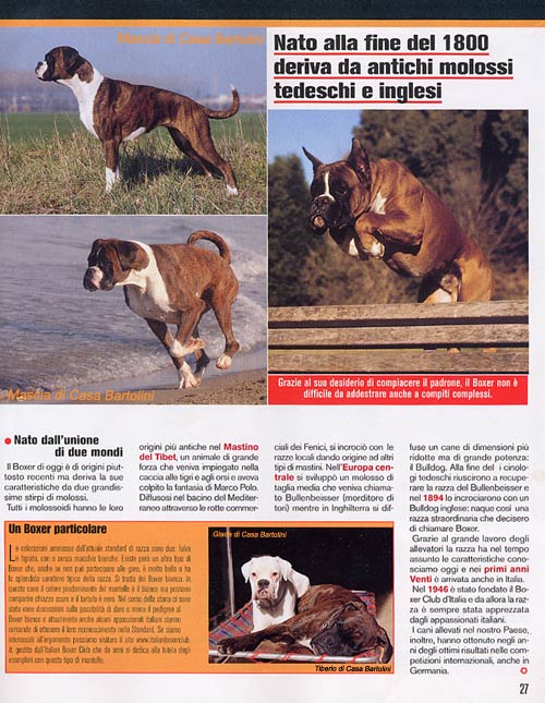 Molossi, June-July 2005