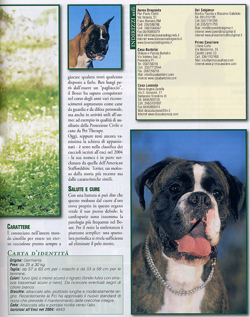 Razze, 2006