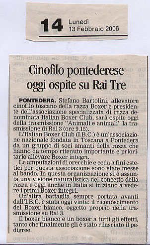 Rai 3, 2006