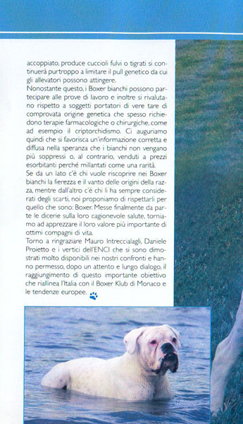 Romolo, Oktober 2006