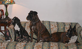 Dori und Michelle
