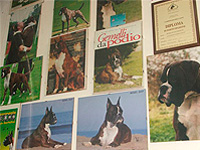 Fotos unserer Champions