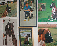 Fotos unserer Champions