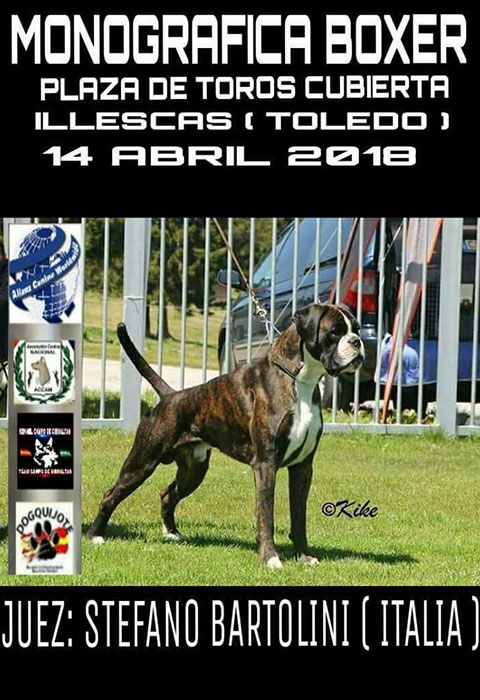 Stefano Bartolini als Richter in Illescas (Toledo)