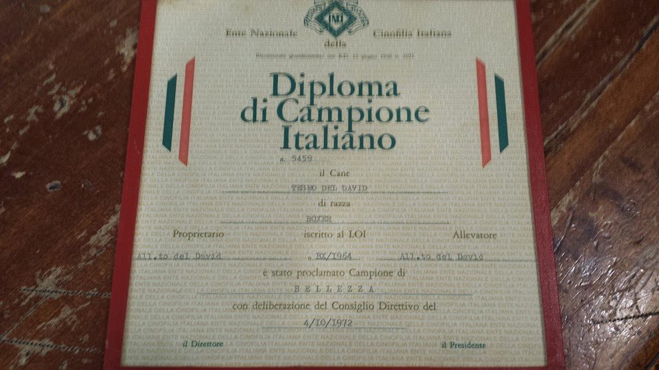 Origini Casa Bartolini