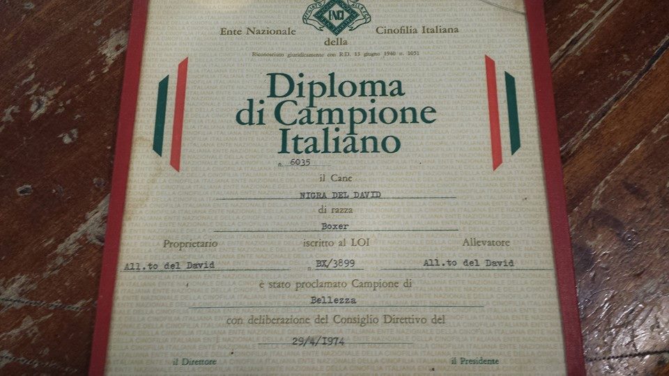 Origini Casa Bartolini