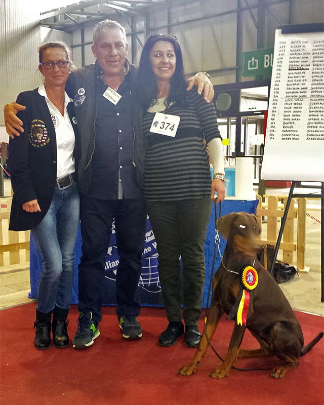 Stefano Bartolini als Richter auf der World Dog Show 2016 in Leipzig