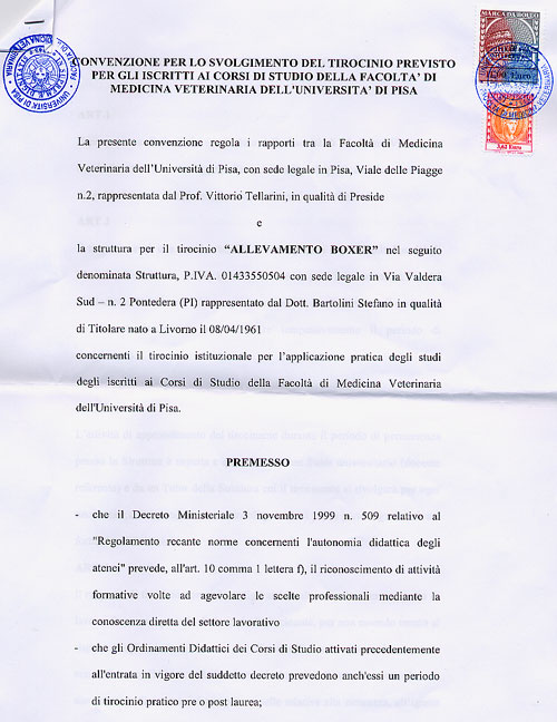 Convenzione