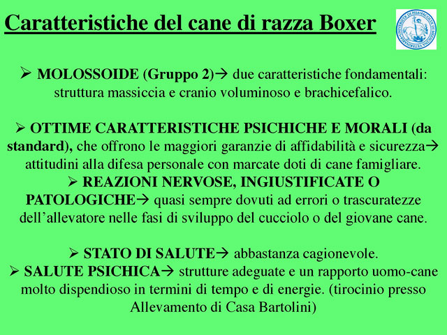 Abschlussarbeit von Barbara Fabbrizzi