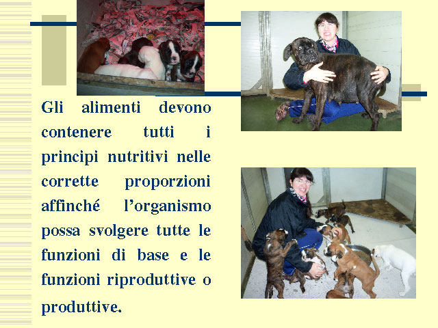 Abschlussarbeit von Elena Settesoldi