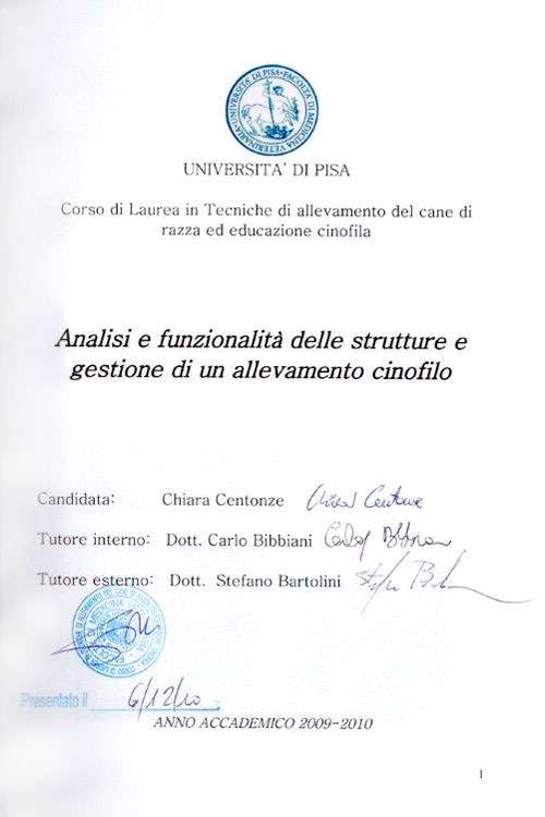 Abschlussarbeit von Chiara Centozone