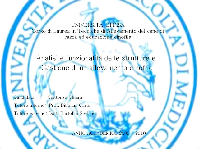 Abschlussarbeit von Chiara Centozone