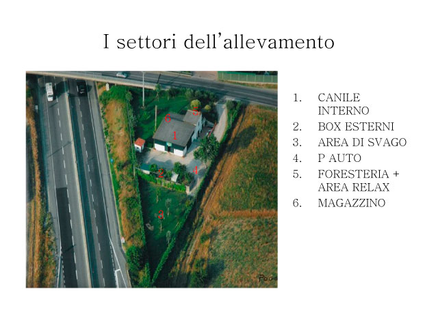 Abschlussarbeit von Chiara Centozone