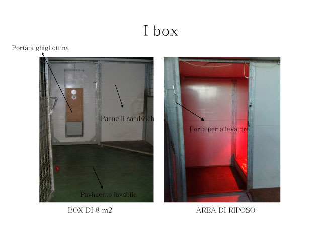 Abschlussarbeit von Chiara Centozone