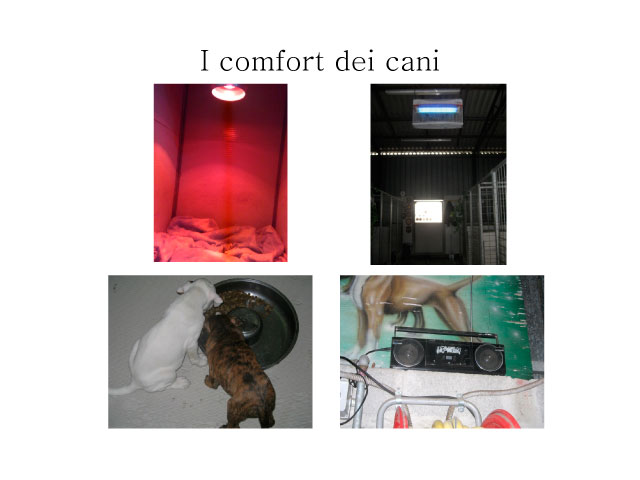 Abschlussarbeit von Chiara Centozone