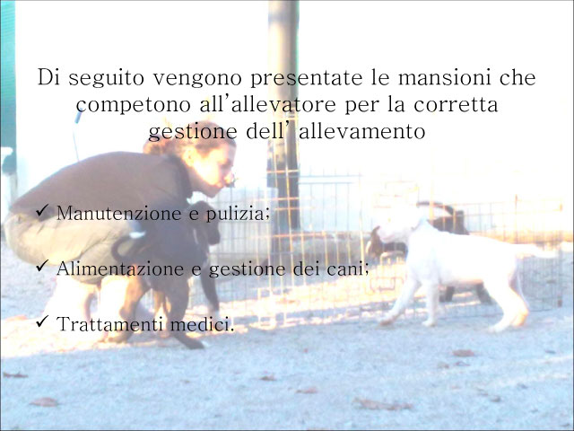 Abschlussarbeit von Chiara Centozone