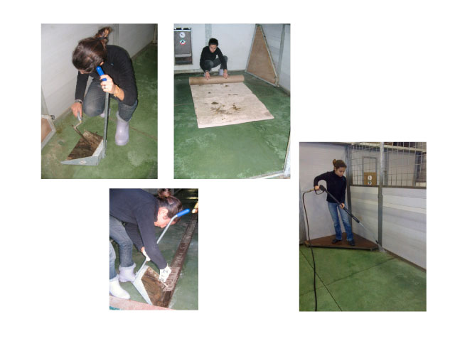 Abschlussarbeit von Chiara Centozone