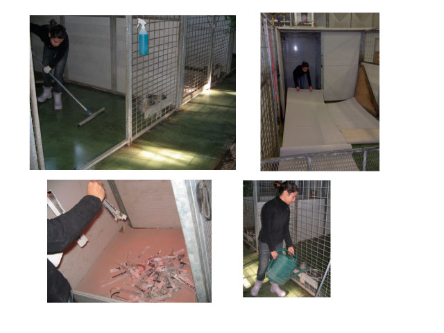 Abschlussarbeit von Chiara Centozone
