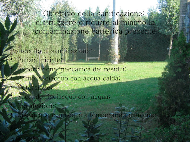 Abschlussarbeit von Chiara Centozone
