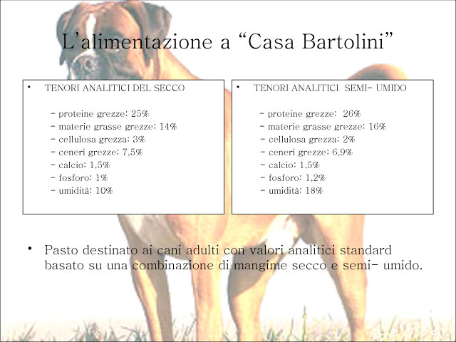 Abschlussarbeit von Chiara Centozone