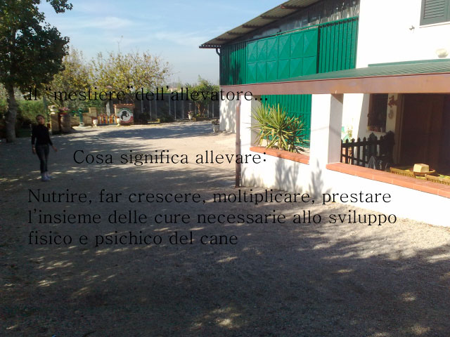 Abschlussarbeit von Chiara Centozone
