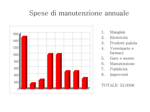 Abschlussarbeit von Chiara Centozone