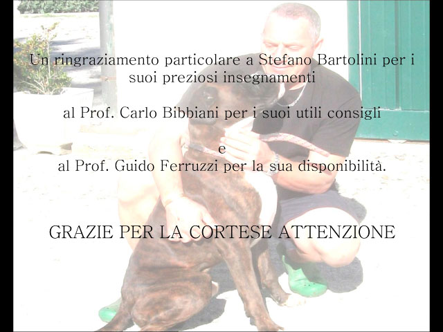 Abschlussarbeit von Chiara Centozone