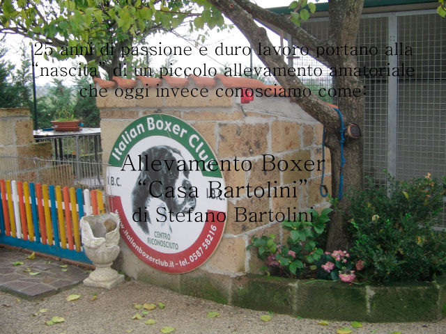 Abschlussarbeit von Chiara Centozone