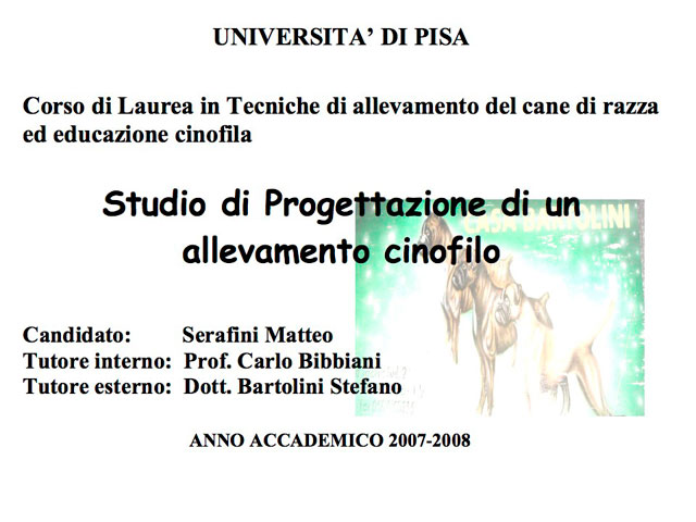 Abschlussarbeit von Matteo Serafini