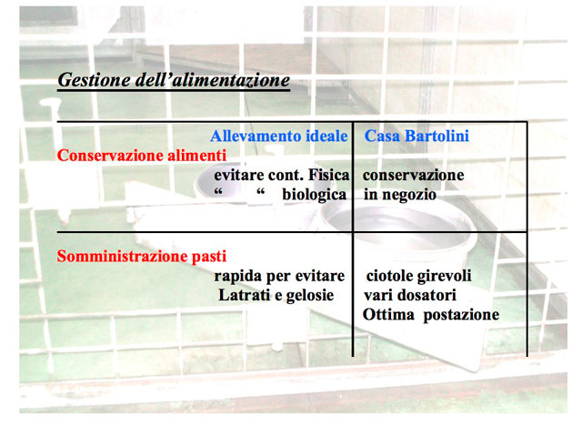 Abschlussarbeit von Matteo Serafini
