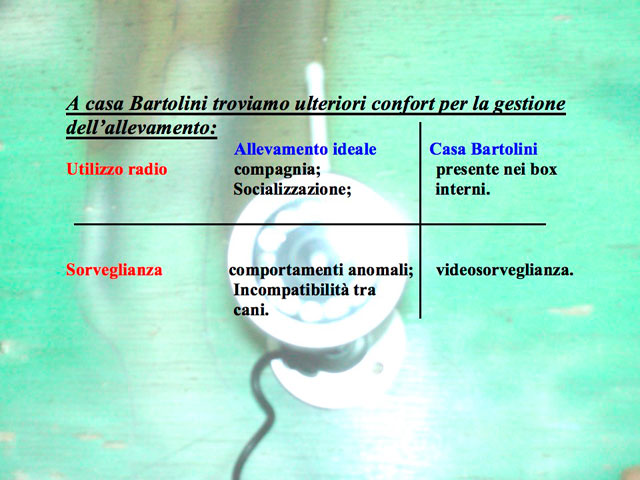 Abschlussarbeit von Matteo Serafini