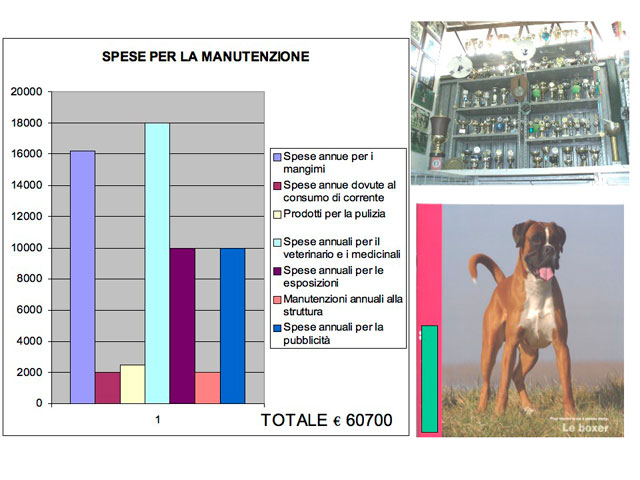 Abschlussarbeit von Matteo Serafini
